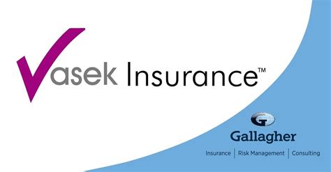 gallagher international travel insurance.